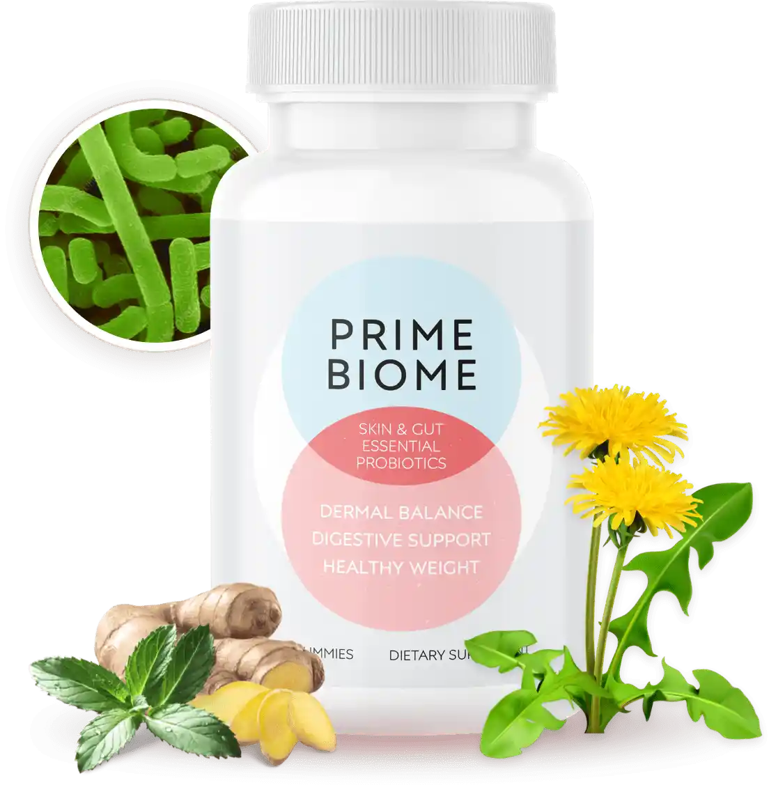 PrimeBiome probiotic gummies for skin, gut, and metabolic health